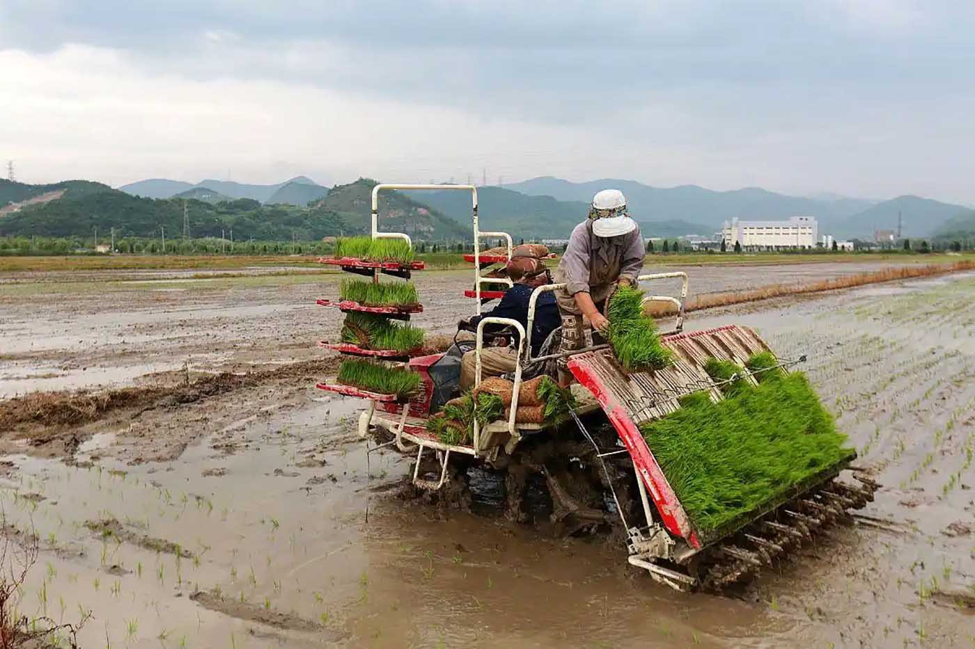 four-in-one rotary tiller integrating rotary tillage, ridging, hole digging, and fertilization can cut farm work costs by nearly half. four-in-one rotary tiller integrating rotary tillage, ridging, hole digging, and fertilization can cut farm work costs by nearly half.